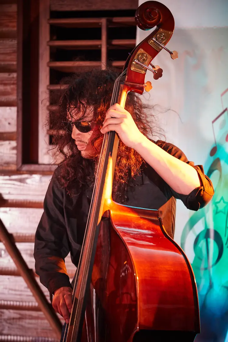 Double bassist playing under warm red and green stage lights — Jazz photography by Michaël Gramm