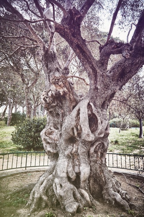 Saint-Tropez Photography — photograph 13 — © Michaël Gramm