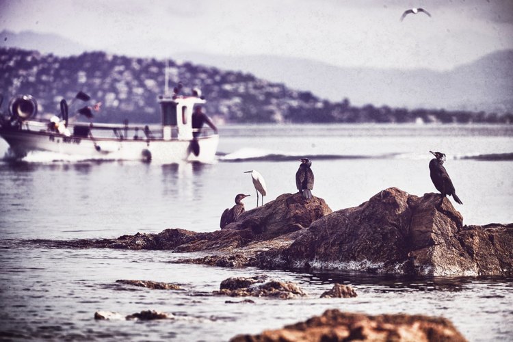 Saint-Tropez Photography — photograph 22 — © Michaël Gramm